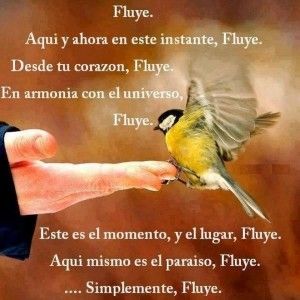 en armonia con el universo fluye