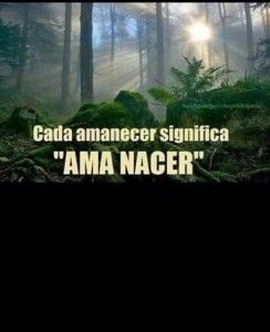 amanecer ama nacer