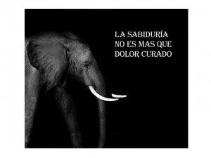 y dolor