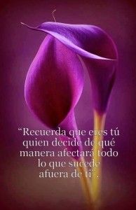 recuerda que eres tu quien decide