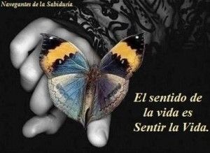 sentir la vida