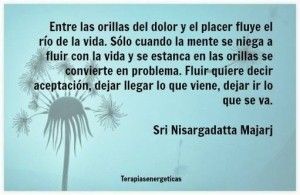 fluir