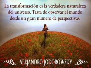 trata de observar
