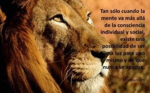 barreras mentales
