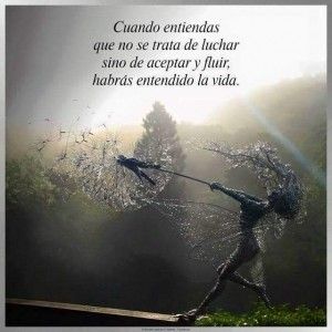 acepta y fluye Somos Armonia