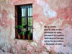 no te rindas
