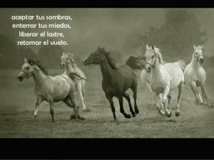 retomar el vuelo Somos Armonia