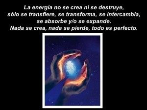 Nada se crea, nada se pierde, todo es perfecto..
