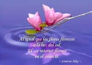 silencio Somos Armonia