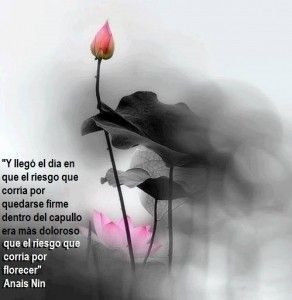 florecer Somos Armonia